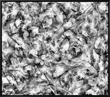 Swirling Dance 1 In Black And White