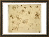Study of Flowers