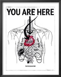 You Are Here