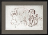Three Elephants