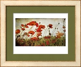 Orange Flower Patch