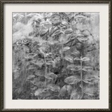 Plant Pressed Up to Glass in a Greenhouse Creates an Abstract Pattern