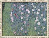 Rosiers sous les arbres