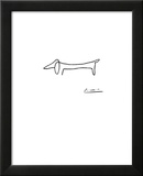 The Dog