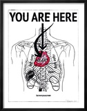 You Are Here