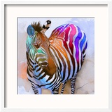 Zebra Dreams