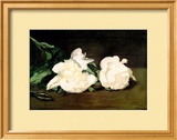 Branch of White Peonies and Secateurs  1864
