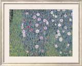 Rosiers sous les arbres