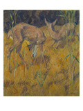 Rehe Im Schilf  1909