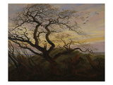 Ravens in a Tree (Bare Tree at the Coast of Ruegen  Or: Rookery on the Island Ruegen)  about 1822