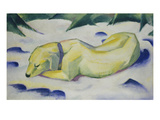 Dog Lying in the Snow  1910/1911