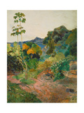 Martinique Landscape (Tropical Vegetation)  1887
