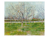 Blossoming Orchard  1888