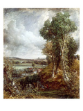 Dedham Vale