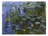 Water Lilies (Nympheas)  1918/1921