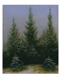 Spruce Forest in Snow (Dresdner Heide I)  ca 1828