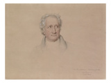 Portrait of Johann Wolfgang Von Goethe  1828