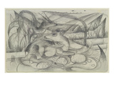 Aus Dem Skizzenbuch Von Der Front: Rehe  1915