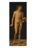 Adam  1507