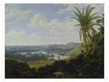 Brasilian Landscape with Anteater Probably 1649
