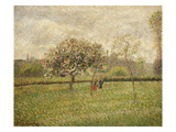 Apple Tree Blossom at Eragny  1888
