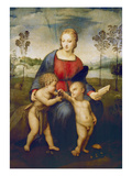Madonna of the Goldfinch  about 1506