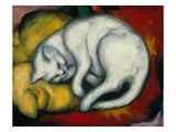 The White Cat  1912