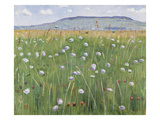 Meadow of Flowers  about 1901