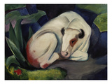 The Bull  1911