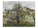The Vegetable Garden with Trees in Blossom  1877