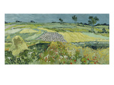 The Plain at Auvers  1890