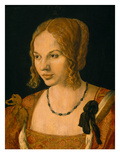 Half-Length Portrait of a Young Venetian  1505