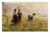 Summer's Day in Norway