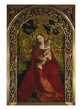 Die Madonna in Der Rosenlaube  1473
