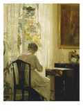 Am Wohnzimmerfenster