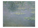 Seerosen  1903