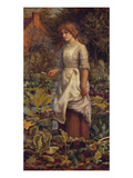 The Fair Gardener