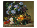 Hydrangea in a Jug and a Basket with Oranges  Lemons and Figs  1834