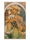 Blume  1897
