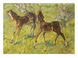 Fohlen Auf Der Weide  1909