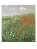 Summer Landscape with Poppy Field  1902