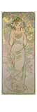 The Rose  1898