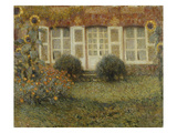 Gartenhaus Und Sonnenblumen