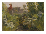 Vegetable Garden  Schrobenhausen  Germany