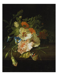 Still Life with Flowers and Butterfly
