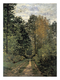 Forest Cart Road