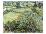 Field with Poppies  1889