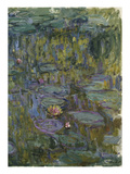 Water Lilies (Nympheas)