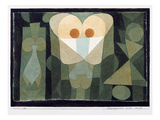 The Physiognomy of a Blossom  1922