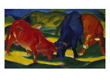 Fighting Oxen  1911